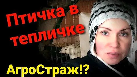 Осушитель подстилки Агростраж. Курятник из теплицы