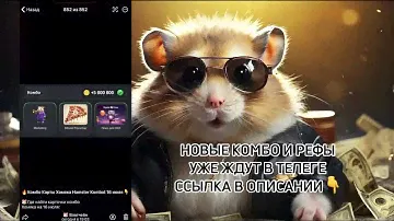 🚨 Новые комбо карты Хомяка 16-17 июля - Хамстер Комбат на сегодня 16.07 | Hamster Kombat