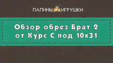 Обрез Брат 2 СХП под патрон 10х31 от Курс-С. Обзор