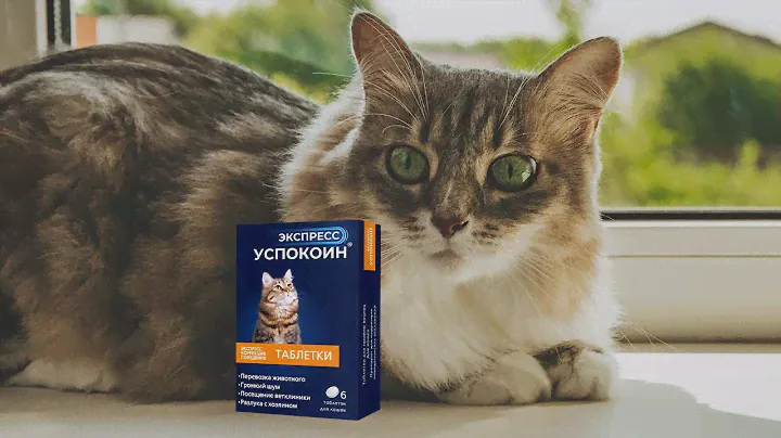 Ответы на вопросы о препарате Экспресс Успокоин