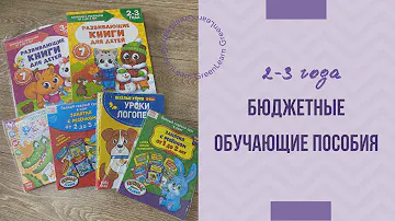 Бюджетные обучающие пособия 2-3 года | как играть? Как заинтересовать?